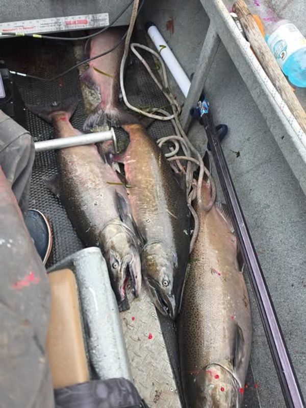 Real Fishy Guide Service