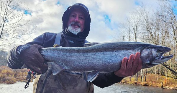 Real Fishy Guide Service
