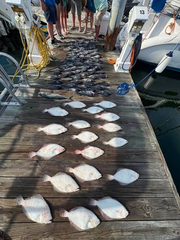 Goin’ Anyways SportFishing
