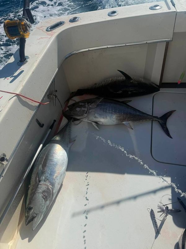Common Sense Sportfishing