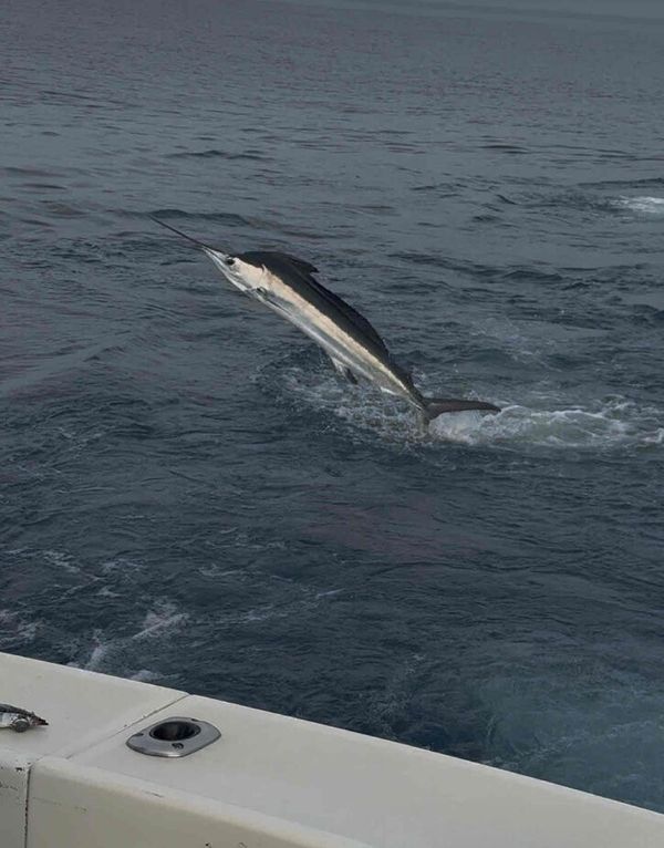 Common Sense Sportfishing