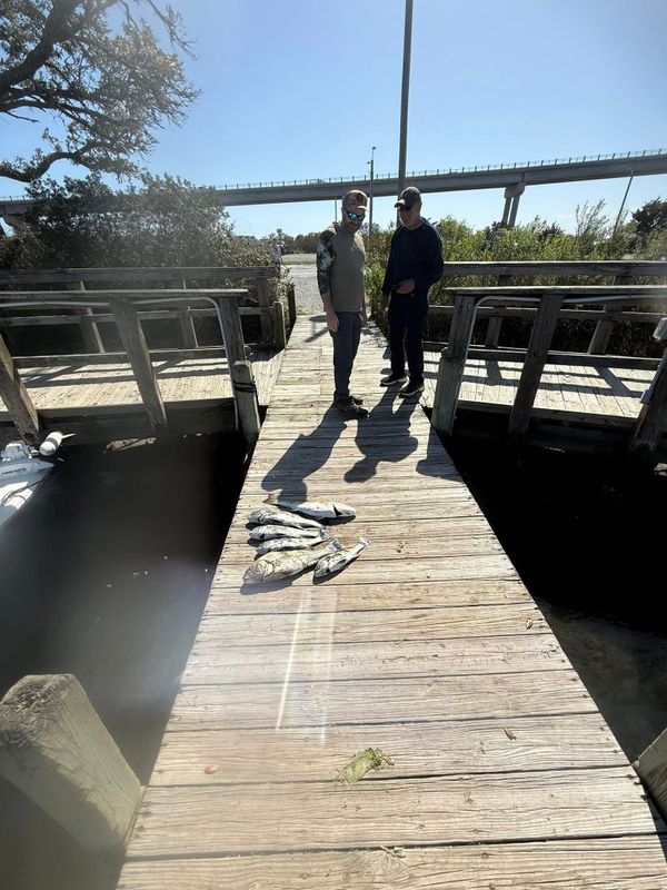 Salt Air Fishing Charters & Guide Services