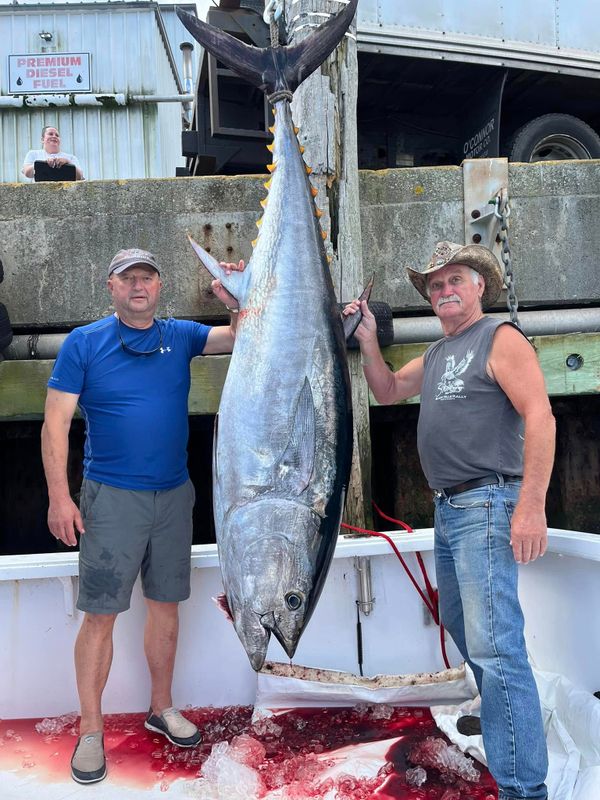 Tuna Maine Charters