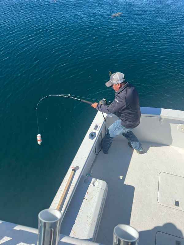 Tuna Maine Charters
