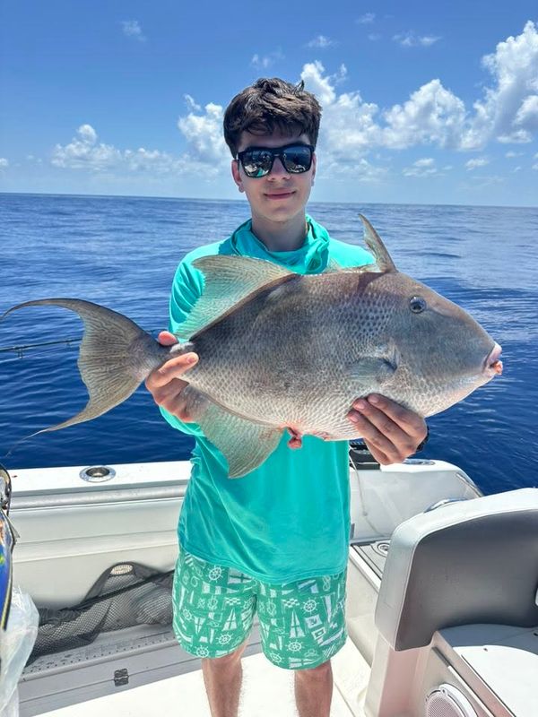 TNT Fishing Charters