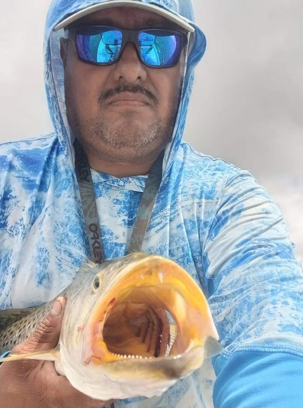 Lur'em in fishing Guide