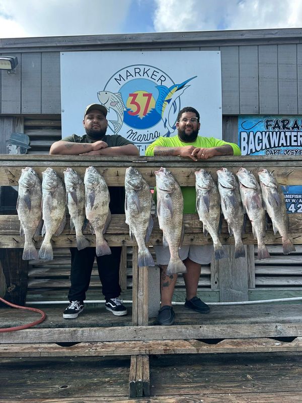 Apex Fishing Guide Service
