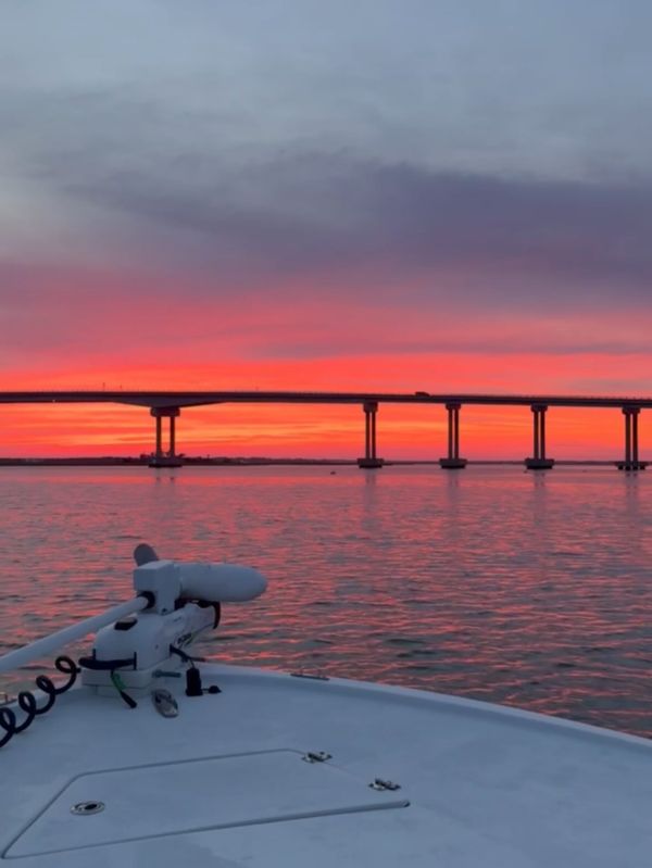 Swan Point Charters