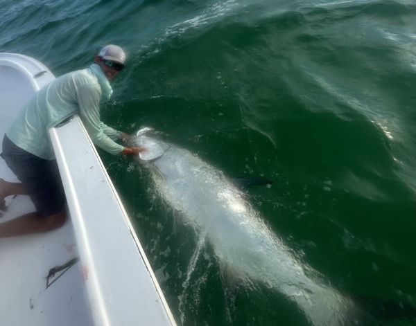 Land ‘em Fishing Charters