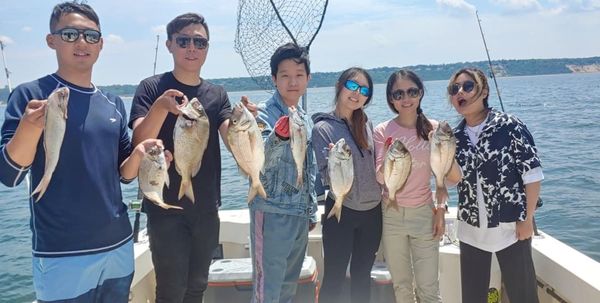 D.C. OUTDOOR ADVENTURES inc