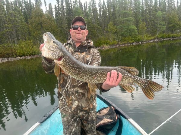 Gray Wood Outfitters