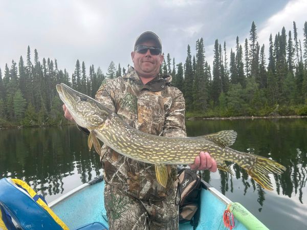 Gray Wood Outfitters