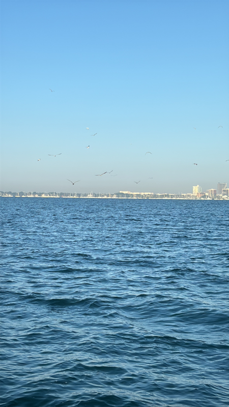 Island time charters of Miami