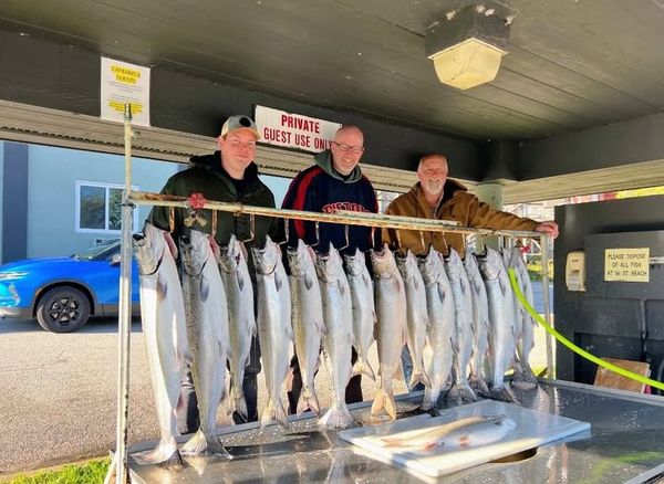 Slipknot Steelhead Charters