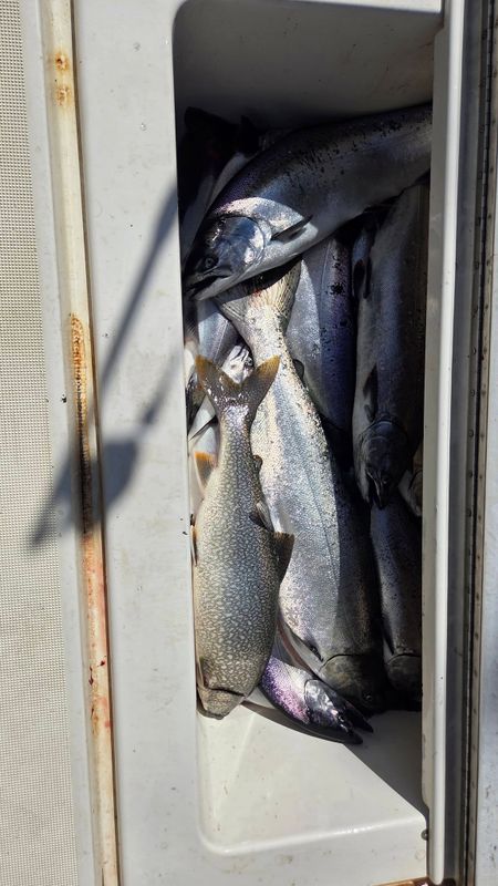 Slipknot Steelhead Charters
