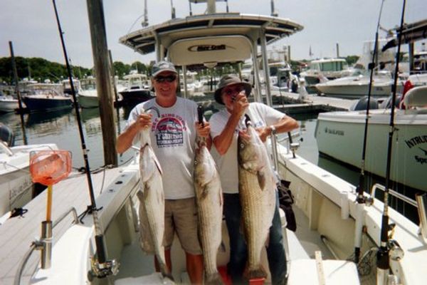 Tigger Too Charters