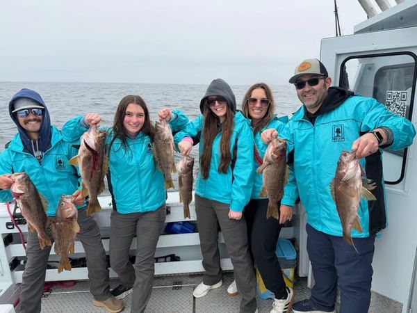 SOA Charters