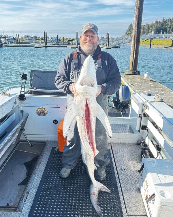 SOA Charters