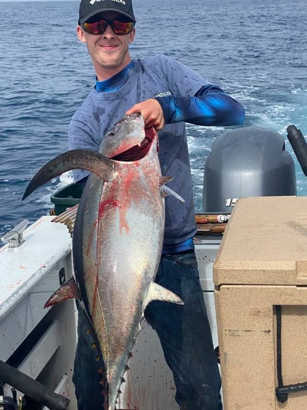 SOA Charters