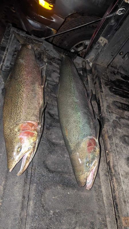 J and J Brothers Guide Service