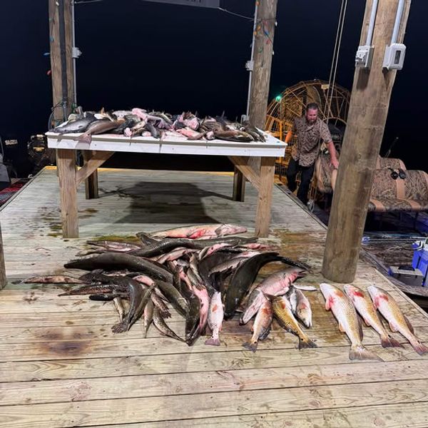 Nock Em Dead Bowfishing Charters