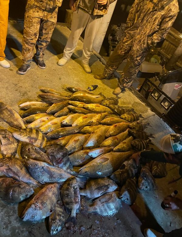 Nock Em Dead Bowfishing Charters