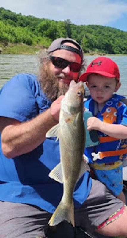 Ozark’s Full Stringers LLC