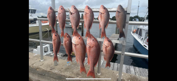 Combat Fishing