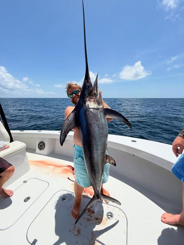 Bandit Fishing