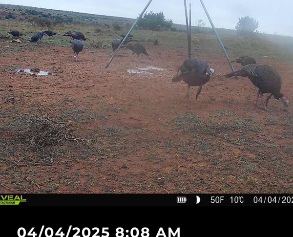 Buckshot Outfitters