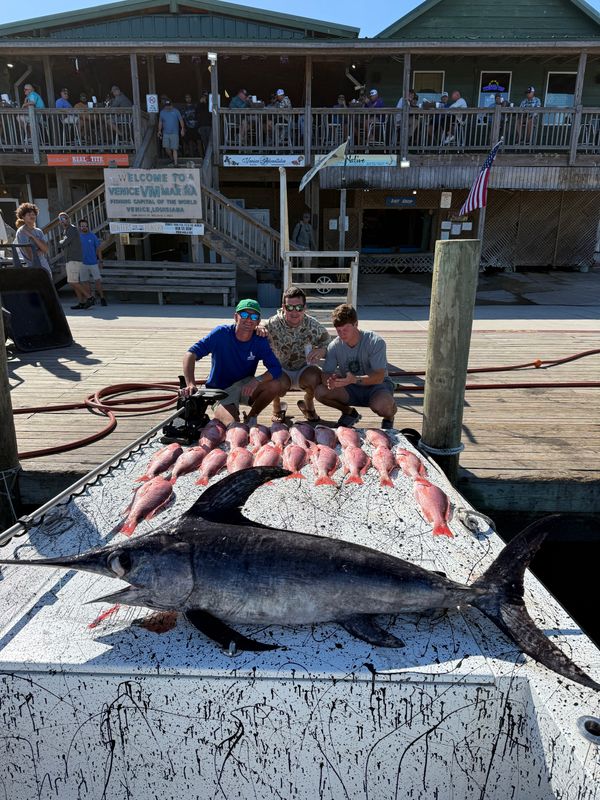Fish Killin Charters