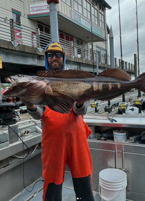 Alaska King Charter
