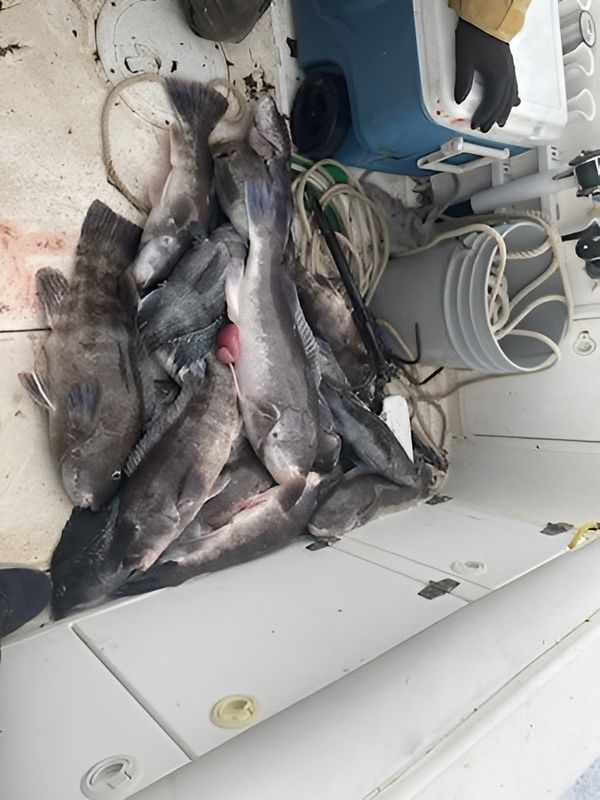 Remedy Sport Fishing.