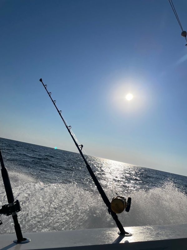 Sunseeker Hilton Head