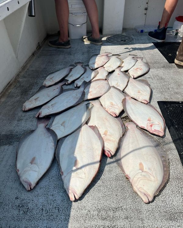 Nearfall Fishing Charters