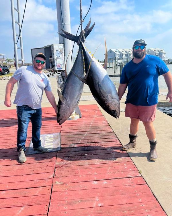 Southern Pro Charters