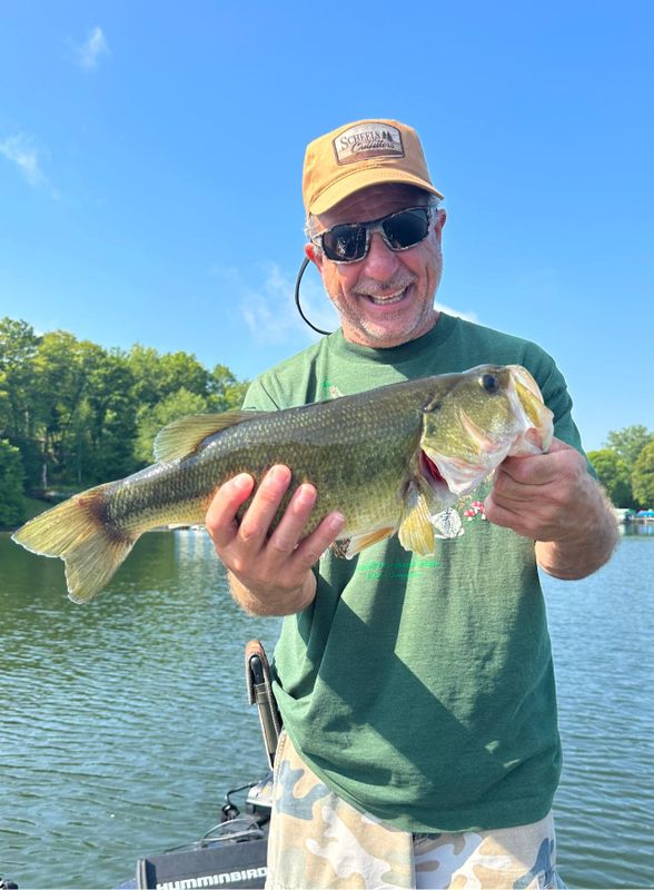 REL Fishing