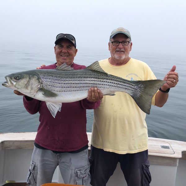 Reel Pursuit Charters