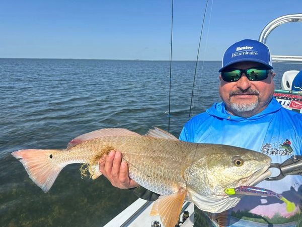 La Mosca Charters
