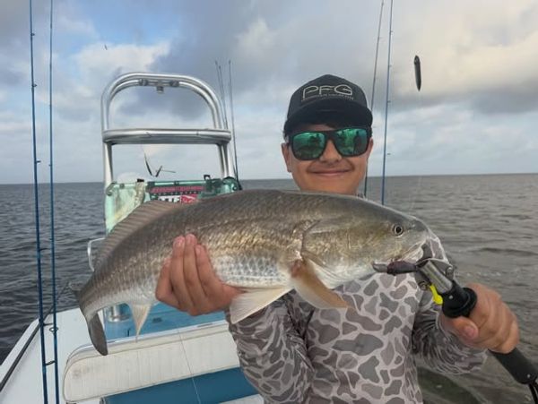 La Mosca Charters