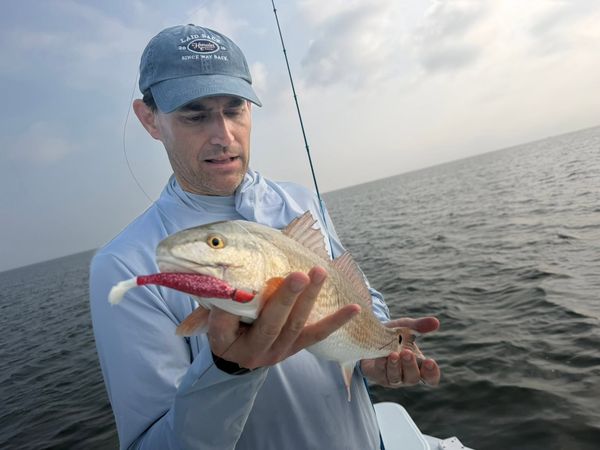 La Mosca Charters