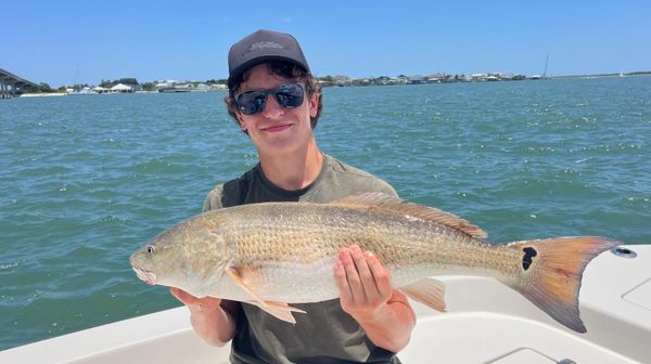 Back At It Fishing Charters