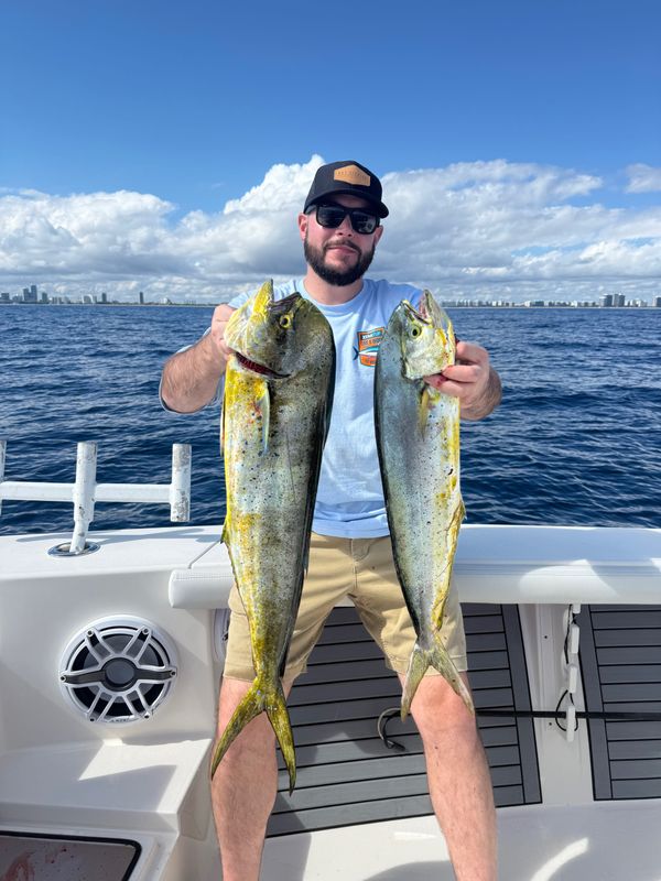 InTheCutCharters