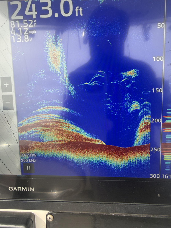InTheCutCharters