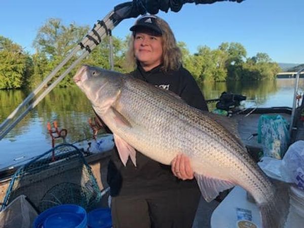 Bushwacker Guide Service