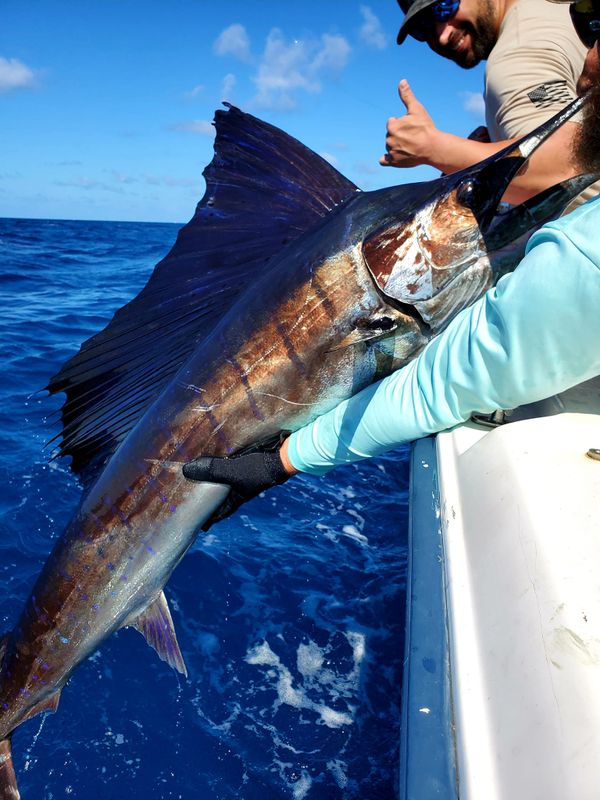 My Islands Adventure Charter