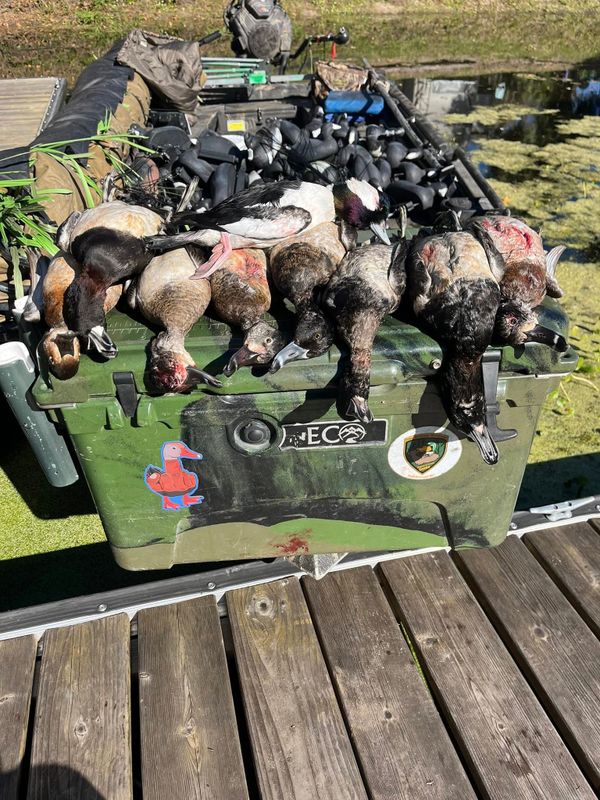 Fowl Attitude Outfitters