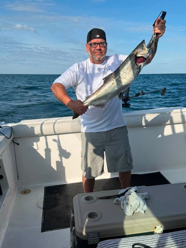 DNA Fishing