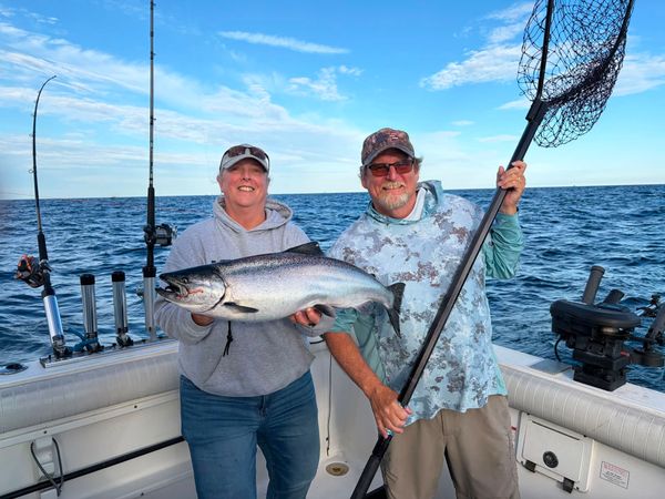 DNA Fishing