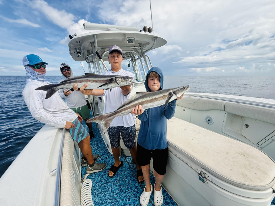 Nice cobia action today using deep sea trolling techniques!
